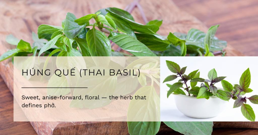 Húng Quế (Thai Basil)