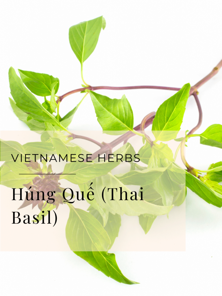 thai-basil herbs for pho