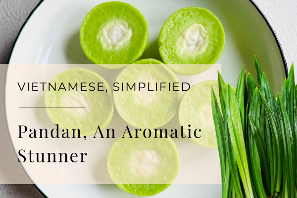 Getting Started with Pandan, The Quiet Aromatic Stunner