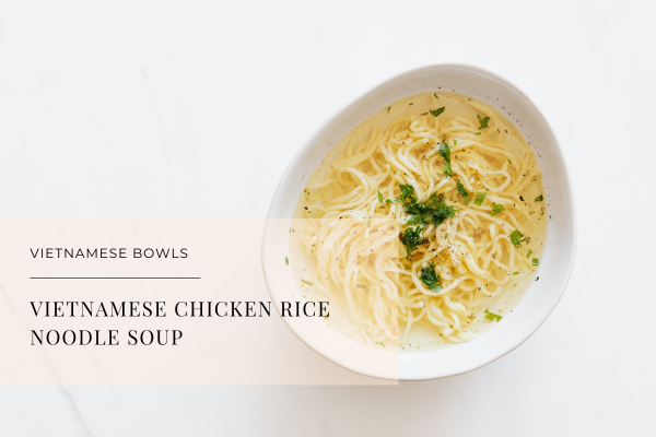 Vietnamese chicken rice noodle soup