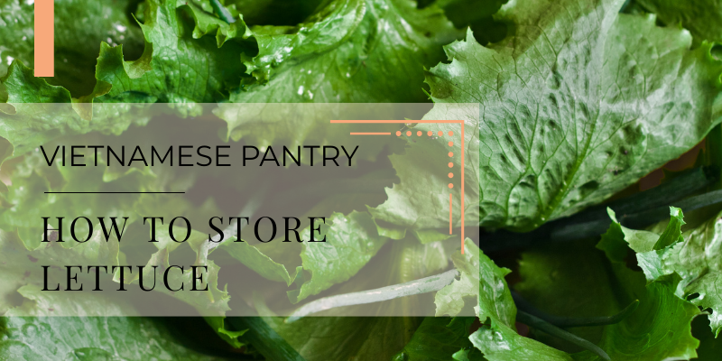 Vietnamese pantry lettuce