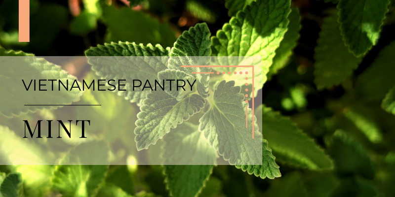 How to Store Fresh Herbs for Vietnamese Cooking