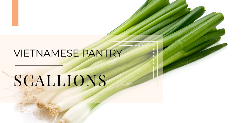 Easy 10-Minute Scallion Oil