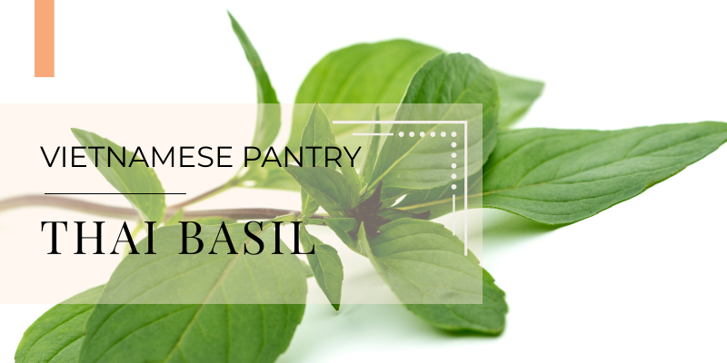 Vietnamese pantry Thai basil