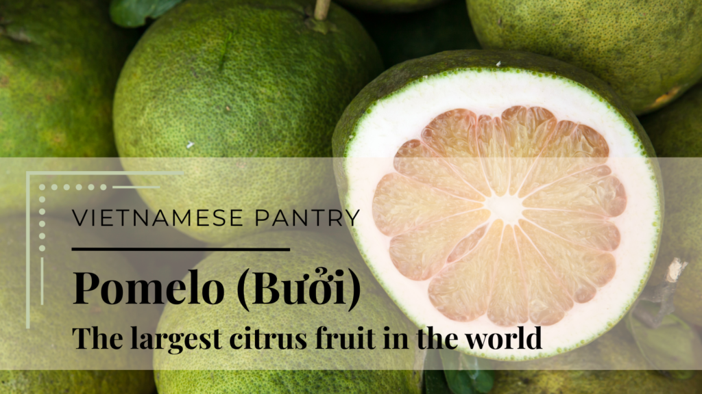 Pomelo-buoi