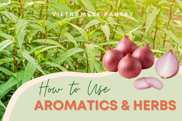 How to use aromatics & herbs in Vietnamese cooking
