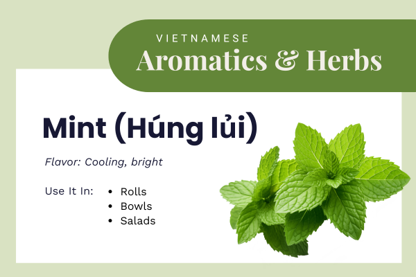 Vietnamese aromatics & herbs - mint
