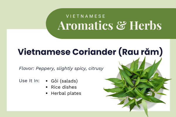 Vietnamese coriander